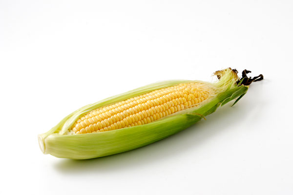 とうもろこし1本 画像2 野菜の素材 フリー写真素材