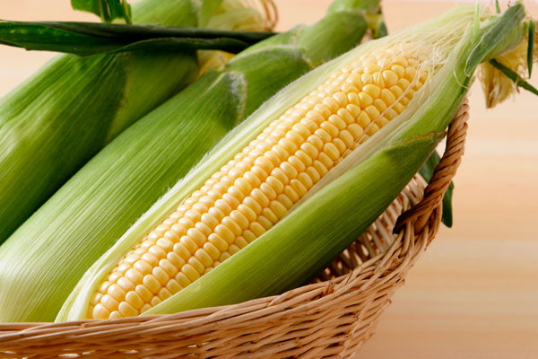 トウモロコシ アップ イメージ画像3 野菜の素材 無料写真素材フリー