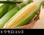 トウモロコシイメージ