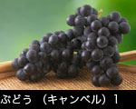 ブドウのイメージ