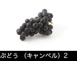 ブドウ一房白いバック1