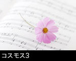 コスモス3