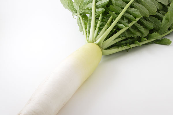 大根 野菜 画像1 無料写真素材