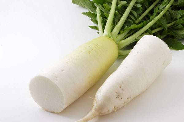 大根 野菜 画像3 アップ 無料写真素材