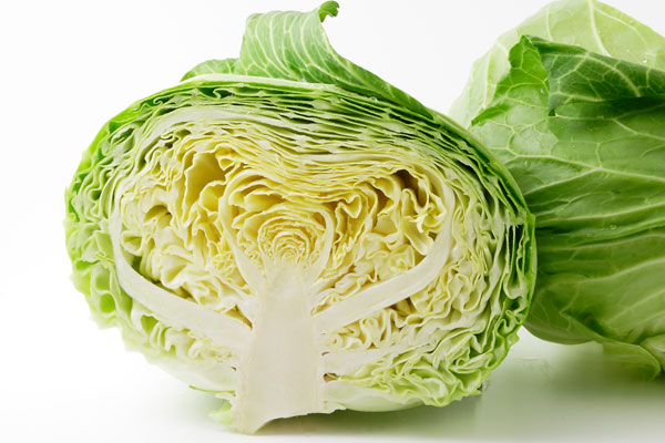 キャベツ 野菜 画像2 無料写真素材 フリー写真素材