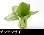 食用菊の花2輪