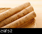 ごぼう2