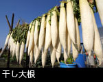 干し大根