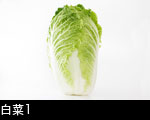 白菜1