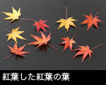 紅葉した紅葉の葉