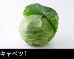 キャベツ1