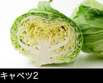 キャベツ2