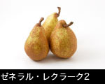 ゼネラル・レクラーク2
