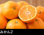 沢山のミカンアップ