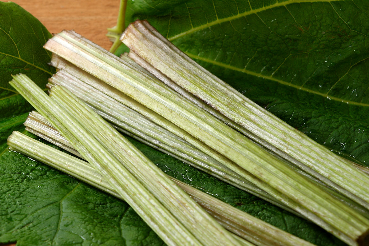 f57-1724　蕗（フキ）山菜