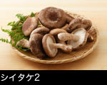 シイタケ2