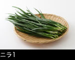 ニラ1