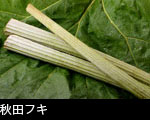秋田フキ