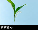 すずらん