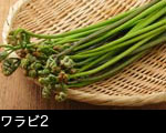 ワラビ2