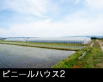 ビニールハウス2 