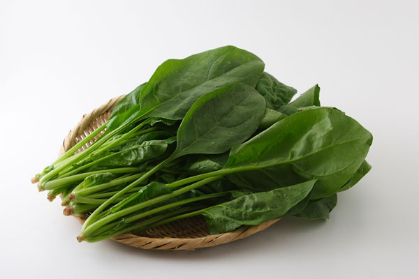 ほうれん草 画像1 野菜 無料写真素材 フリー写真素材　