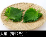 大葉（青じそ）1