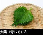 大葉（青じそ）2