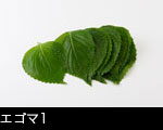 エゴマ1