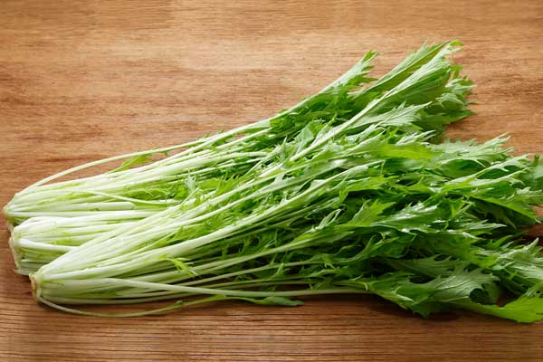 ミズナ 野菜 画像1 無料写真素材