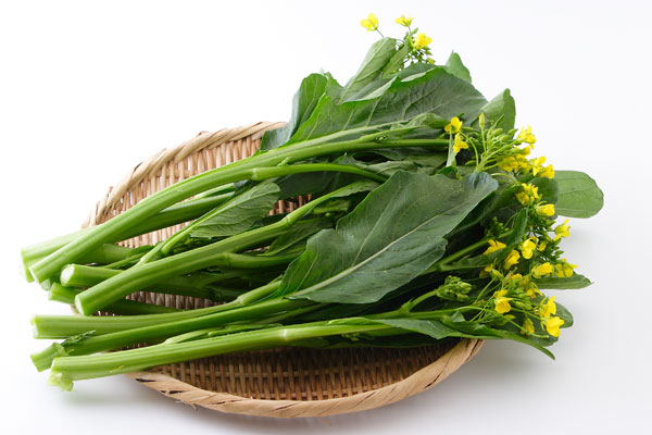 アスパラ菜 野菜 画像1 無料写真素材