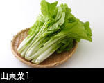 山東菜1