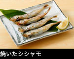 焼いたシシャモ
