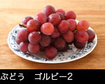 ぶどう　ゴルビー2 