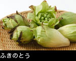 ふきのとう