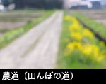 農道（田んぼの道）