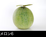 マスクメロン一個白いバック