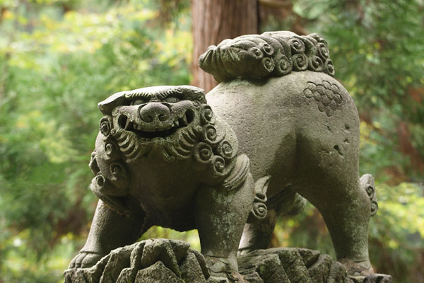 狛犬 阿形（あぎょう）画像1 無料写真素材 