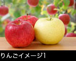 リンゴ