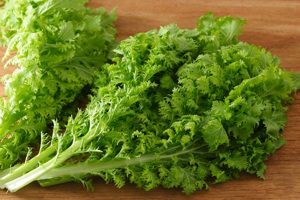 野菜 ワサビ菜 画像2 フリー写真素材 