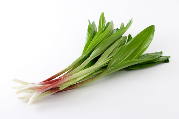 行者ニンニク 山菜 食材 画像2 フリー写真素材