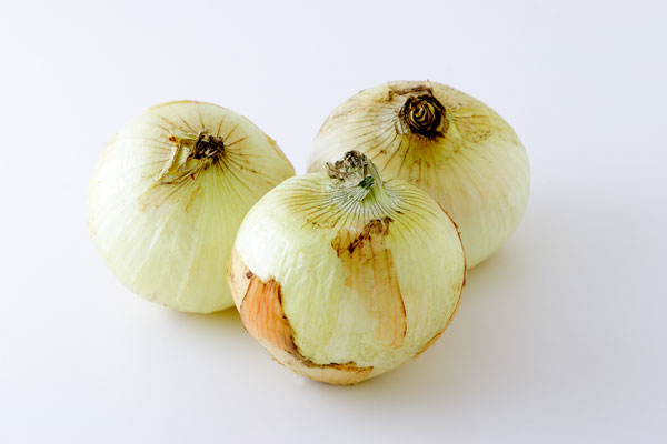 新タマネギ 野菜 画像1 無料写真素材 
