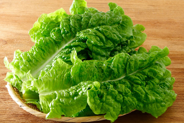 サンチュ 野菜 画像1 無料写真素材 