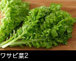 団子・もち1  