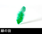 緑の羽