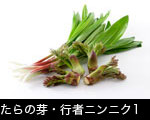 たらの芽・行者ニンニク