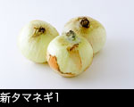 新タマネギ1