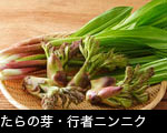 たらの芽・行者ニンニク