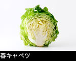 春キャベツ