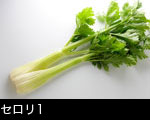 セロリ1